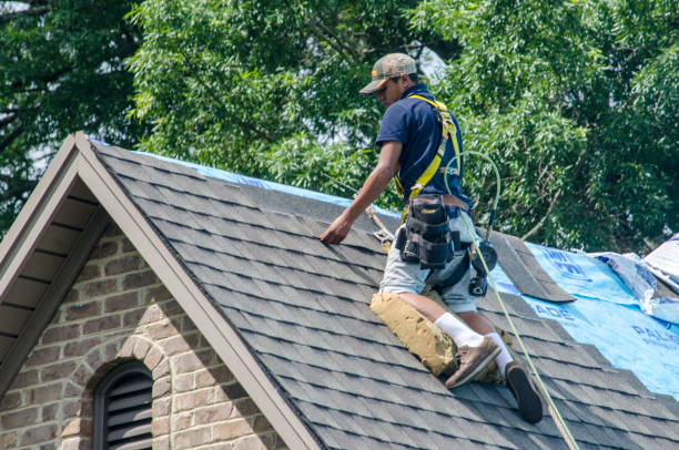 Best Gutter Installation and Roofing  in Atkinson, IL